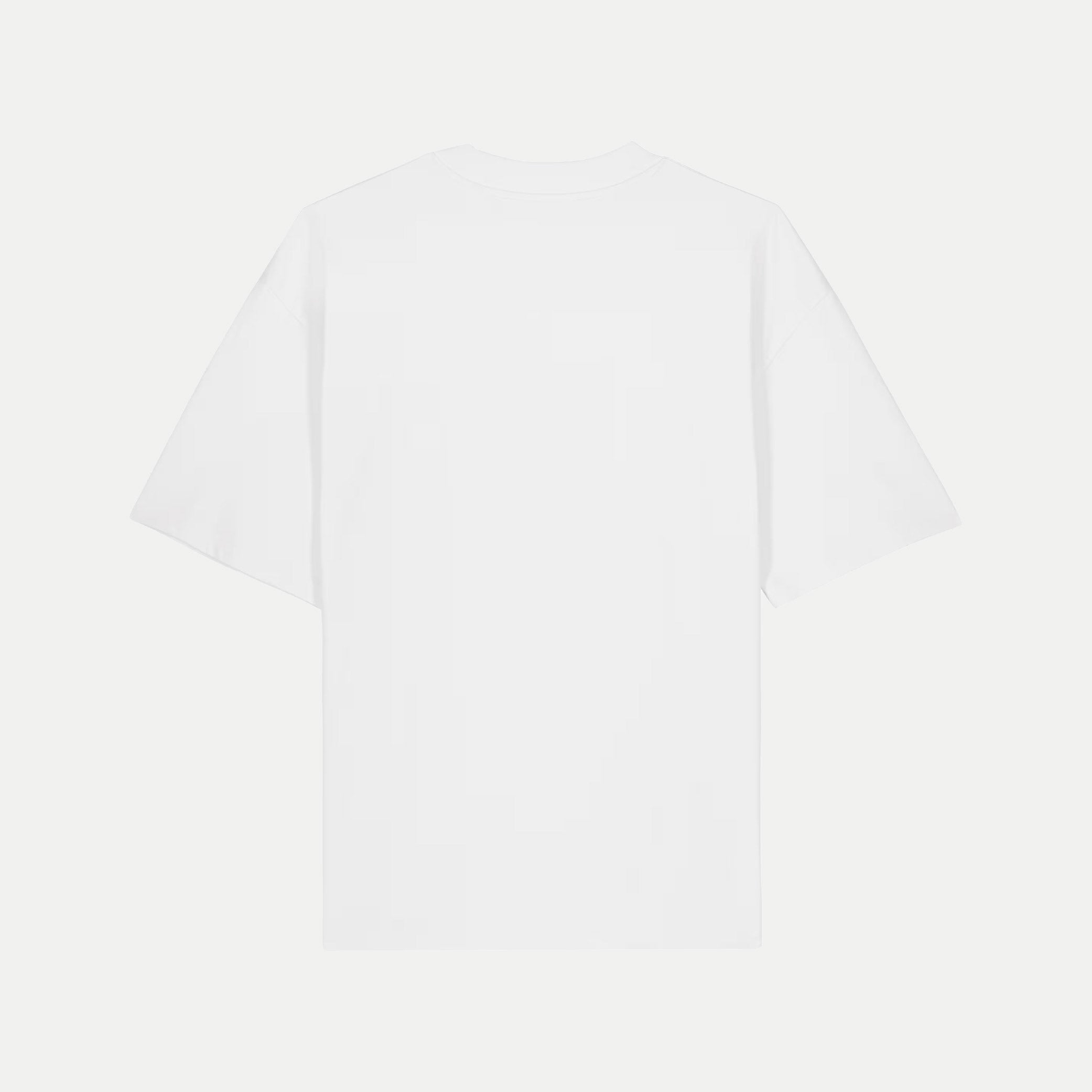 A plain white short-sleeve t-shirt shown from the back, centered on a light gray background.